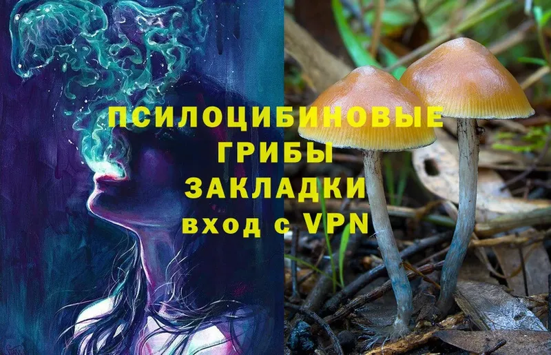 Галлюциногенные грибы Magic Shrooms  Нерчинск 